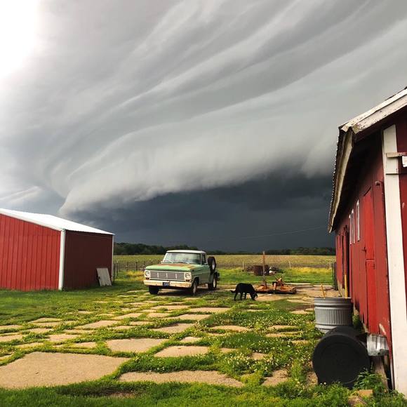 Meet your Posher, Randy - Picture 1 of 1